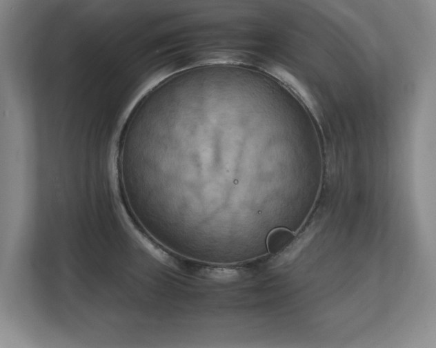 X0000111211235200907081255