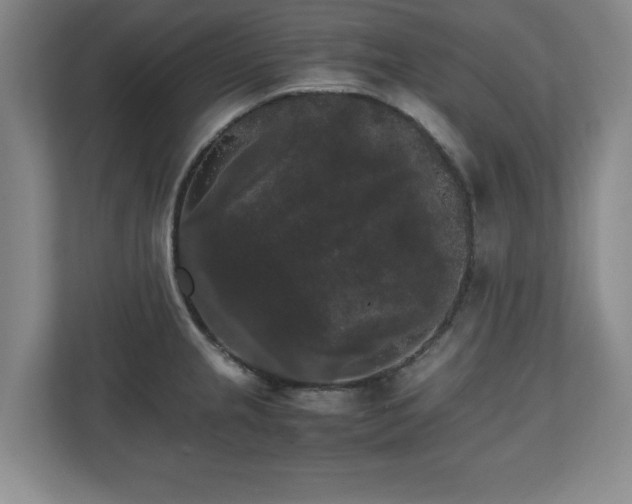 X0000111211237200907081255