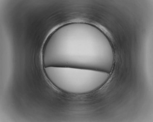 X0000111211238200907081255