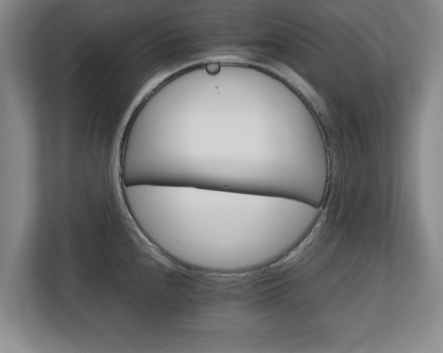 X0000111211240200907081255