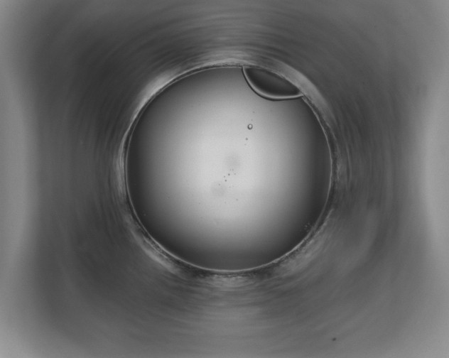 X0000111211242200907081255