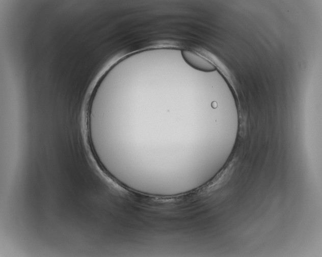 X0000111211243200907081255