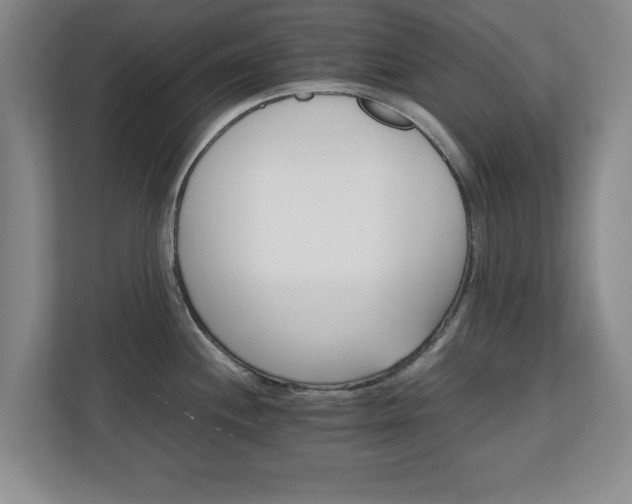 X0000111211244200907081255