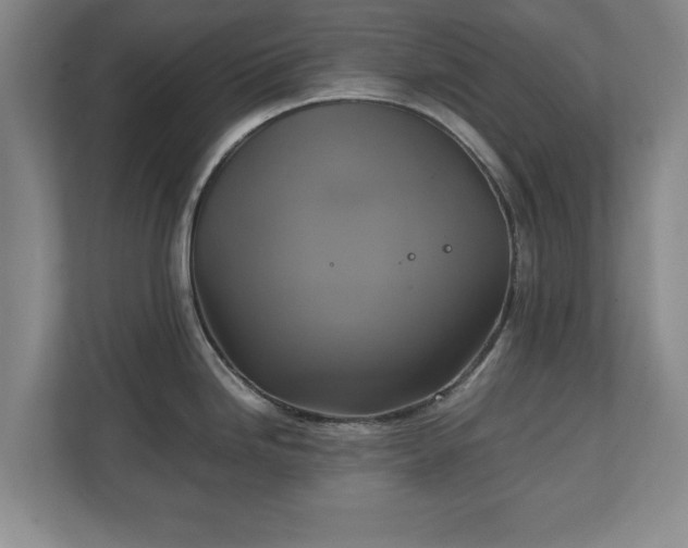 X0000111211246200907081255