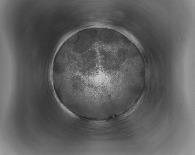 X0000111211247200907081255