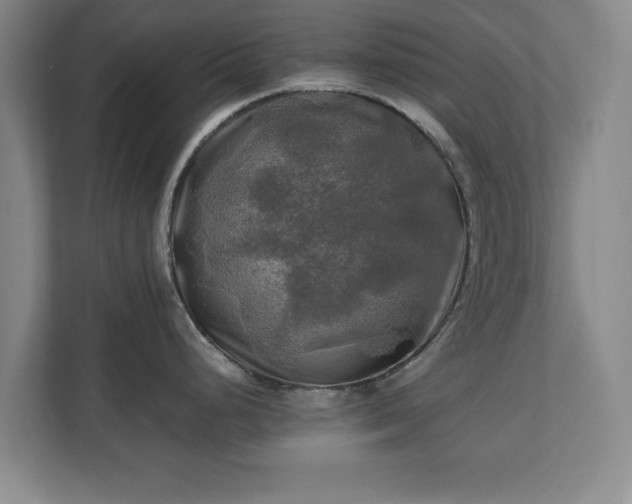 X0000111211248200907081255