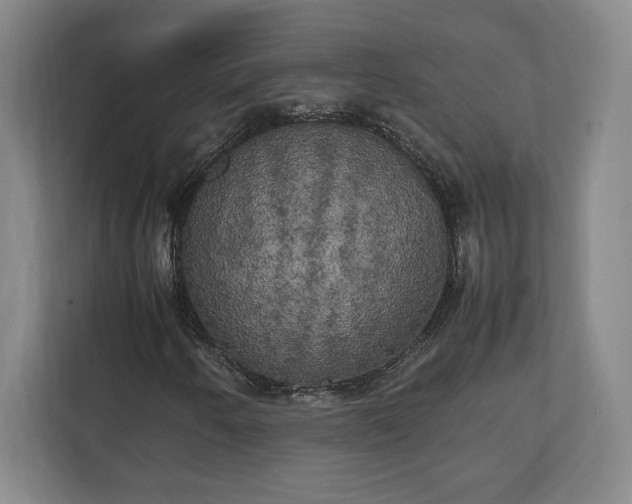 X0000111211250200907081255