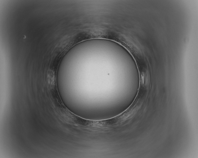 X0000111211251200907081255