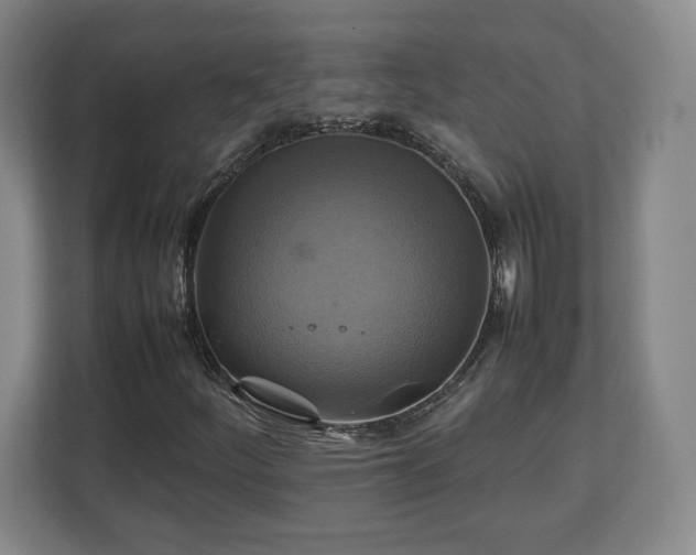 X0000111211252200907081255