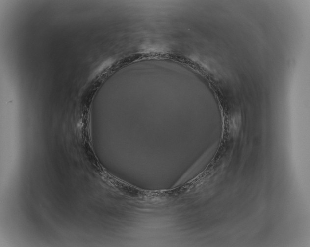 X0000111211254200907081255