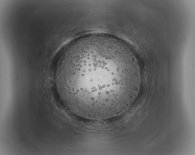 X0000111211255200907081255