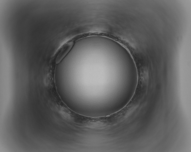 X0000111211256200907081255