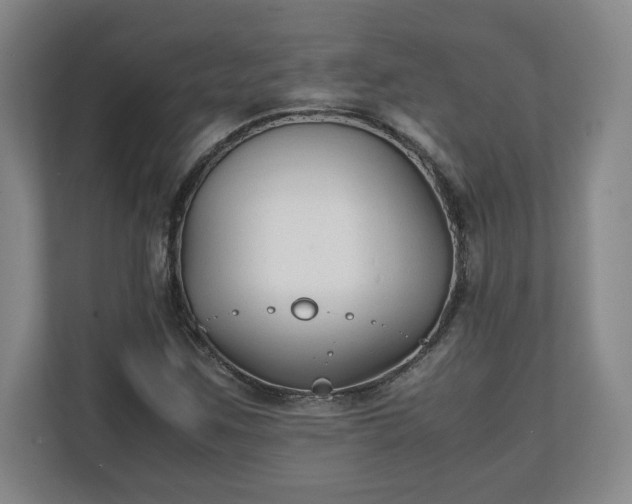 X0000111211259200907081255