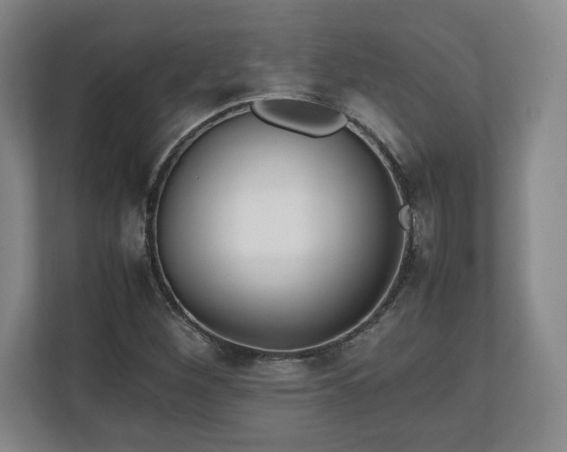 X0000111211260200907081255