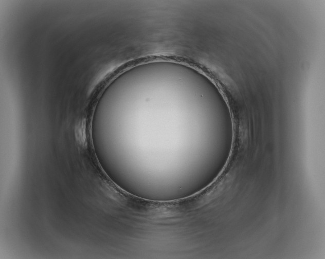 X0000111211262200907081255