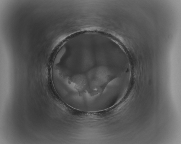 X0000111211263200907081255