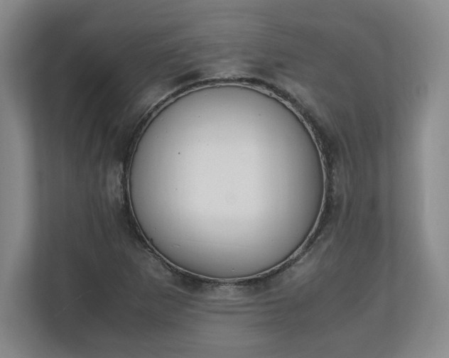 X0000111211265200907081255