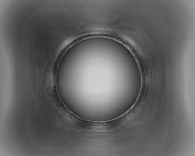 X0000111211267200907081254