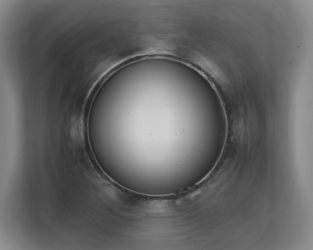 X0000111211268200907081254