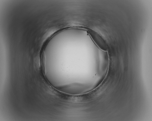 X0000111211269200907081254