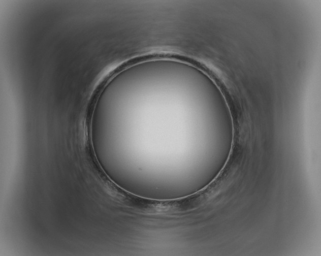 X0000111211271200907081254