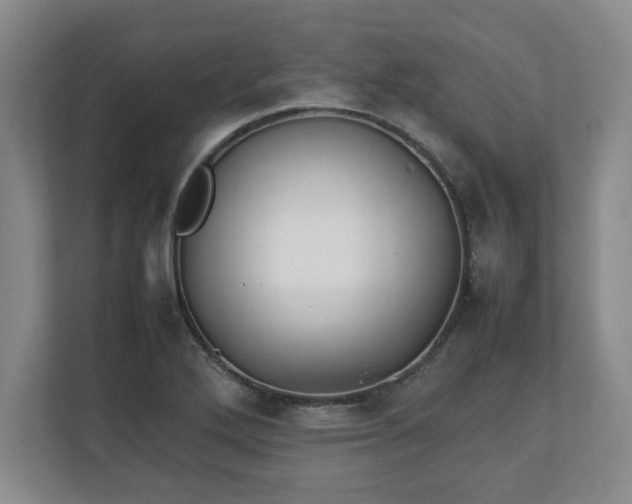 X0000111211272200907081254