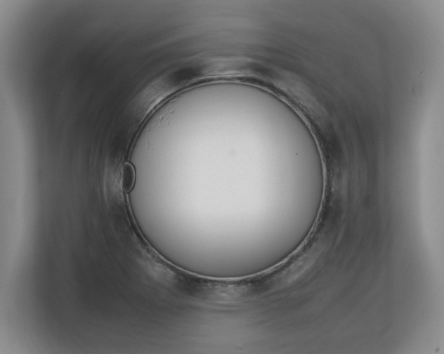 X0000111211273200907081254