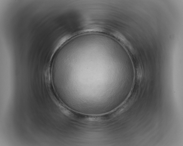 X0000111211274200907081254