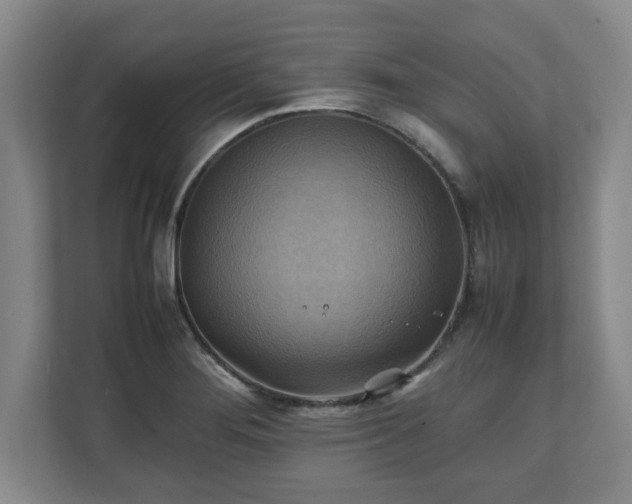 X0000111211276200907081254