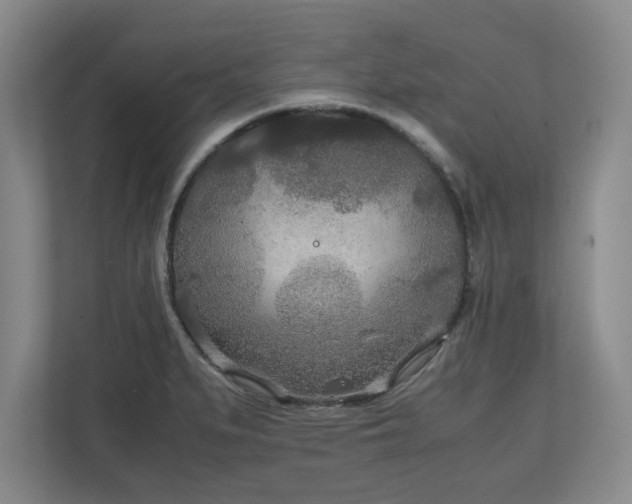 X0000111211279200907081254