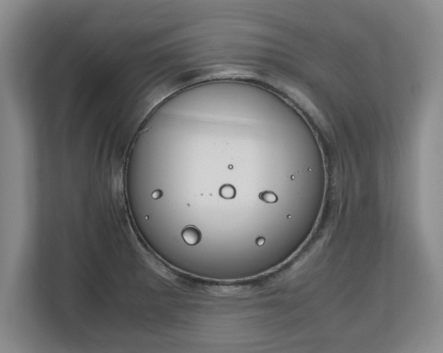 X0000111211281200907081254