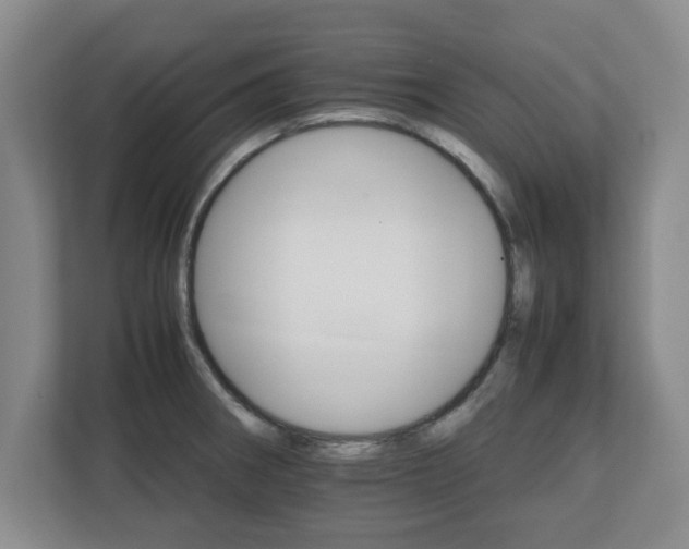 X0000111211282200907081254