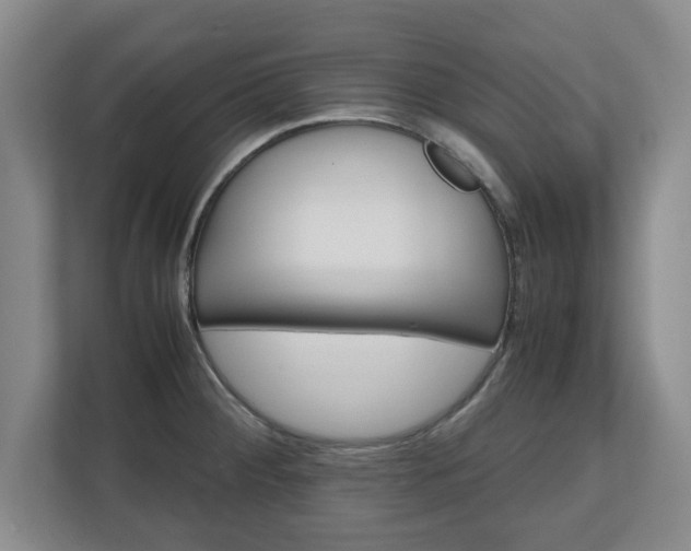 X0000111211284200907081254