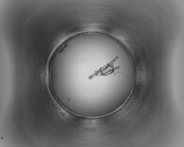 X0000111211286200907081254