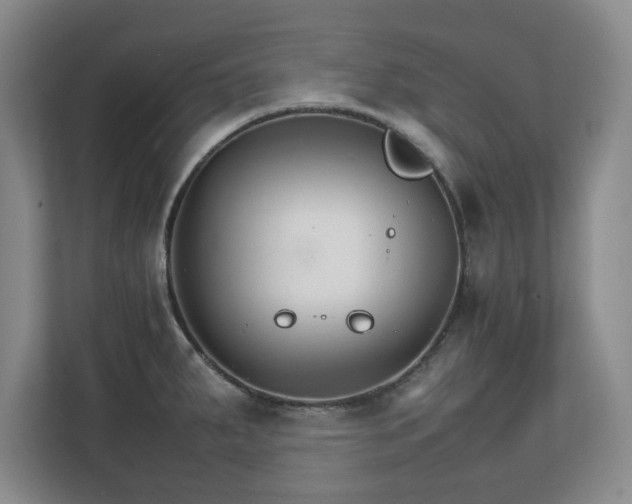 X0000111211287200907081254