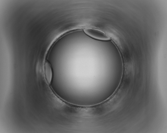 X0000111211288200907081254