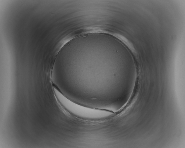 X0000111211289200907081254