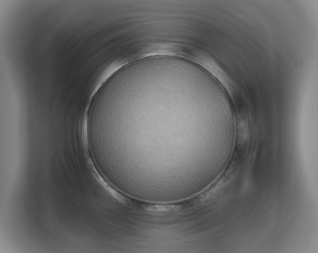 X0000111211290200907081254