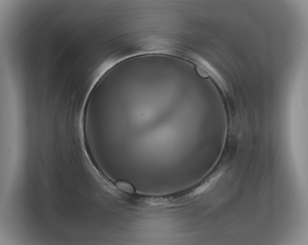 X0000111211291200907081254