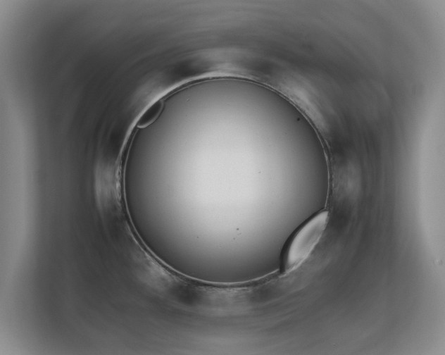 X0000111211292200907081254