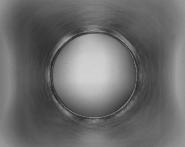 X0000111211293200907081254