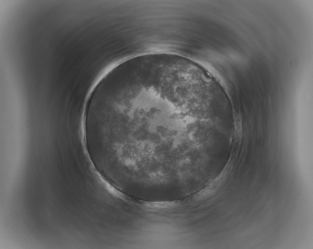 X0000111211294200907081254