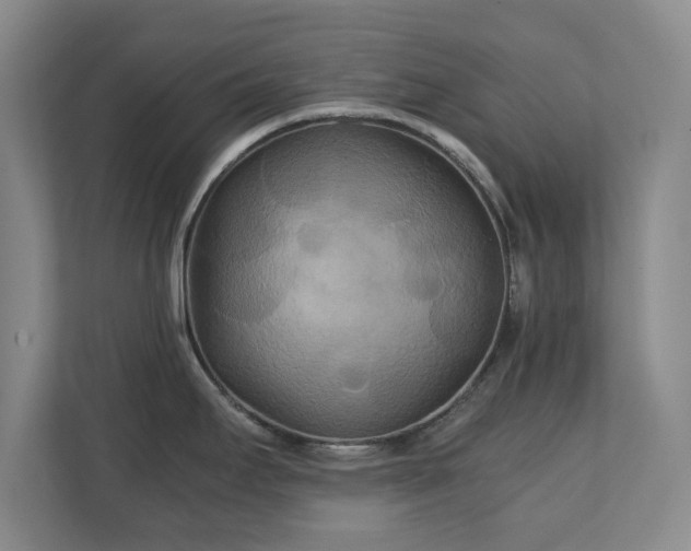 X0000111211295200907081254