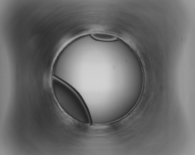 X0000111211296200907081254