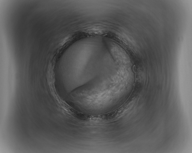 X0000111211297200907081253