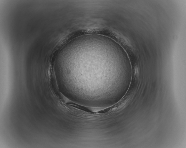 X0000111211300200907081254