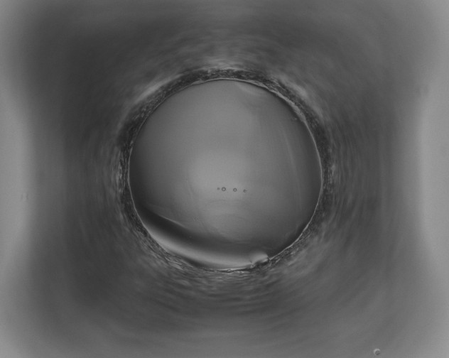 X0000111211303200907081254