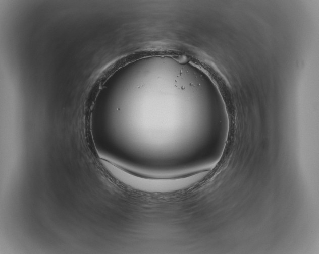 X0000111211304200907081254