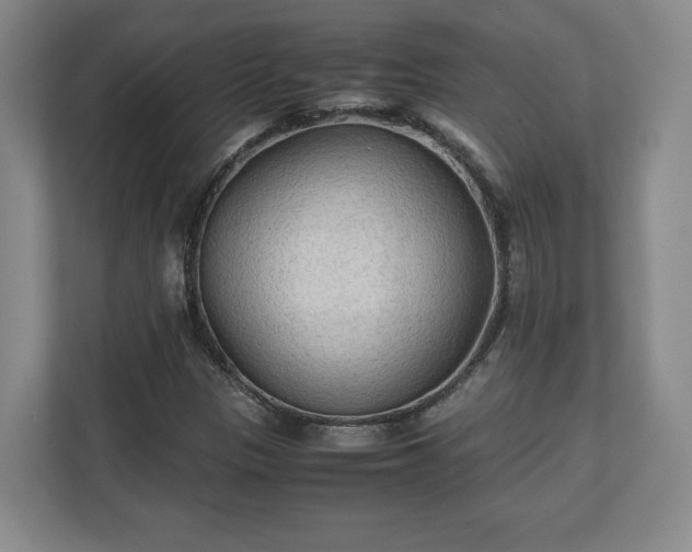 X0000111211305200907081254