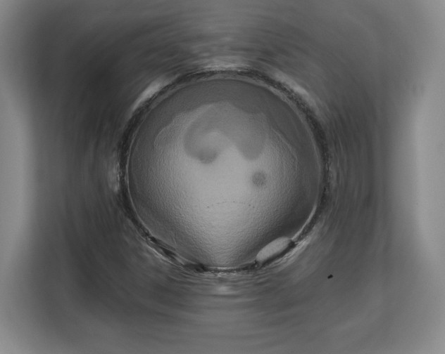 X0000111211306200907081254